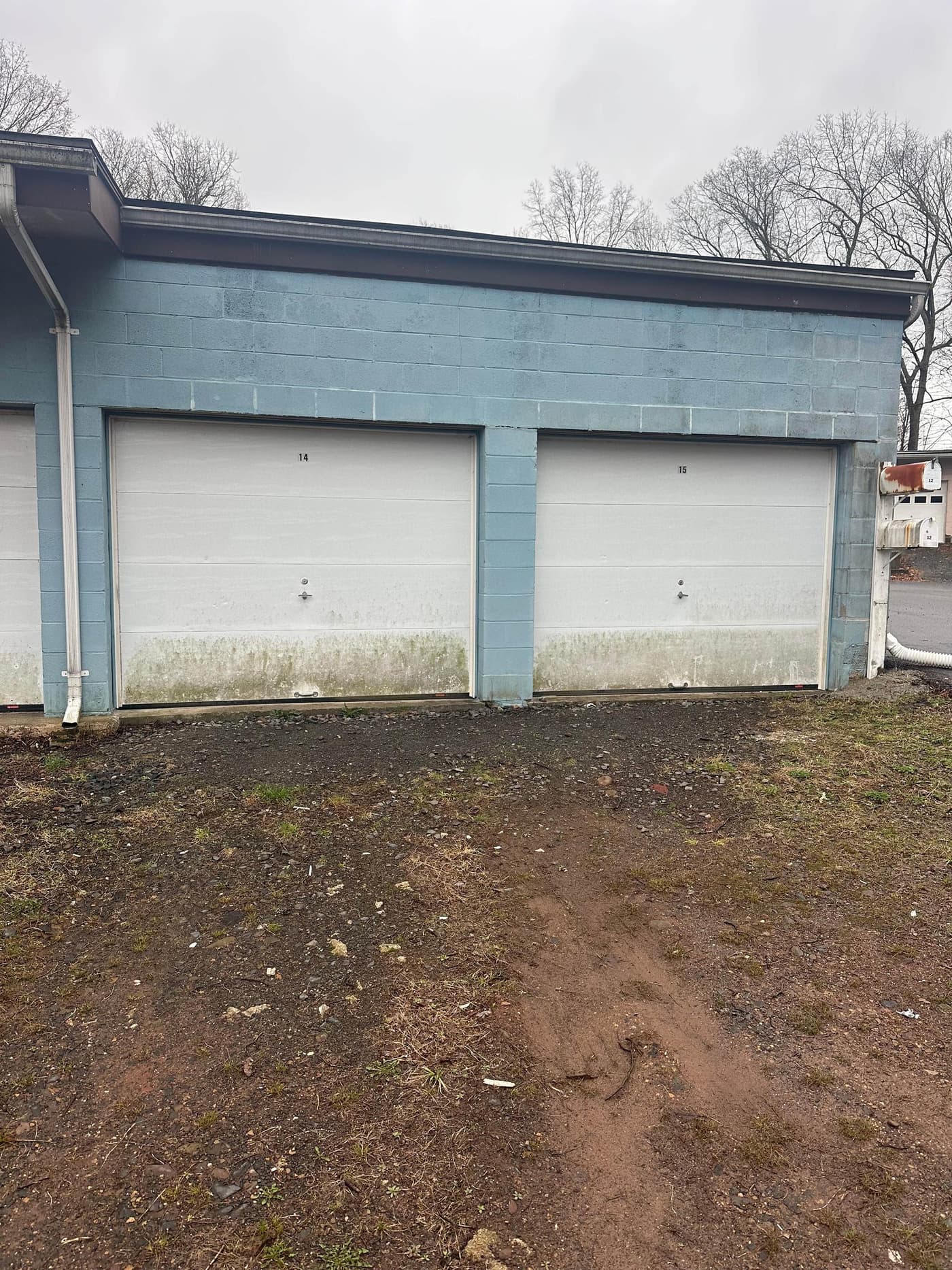 Double garage doors with mold stains on blue cinder block before cleaning