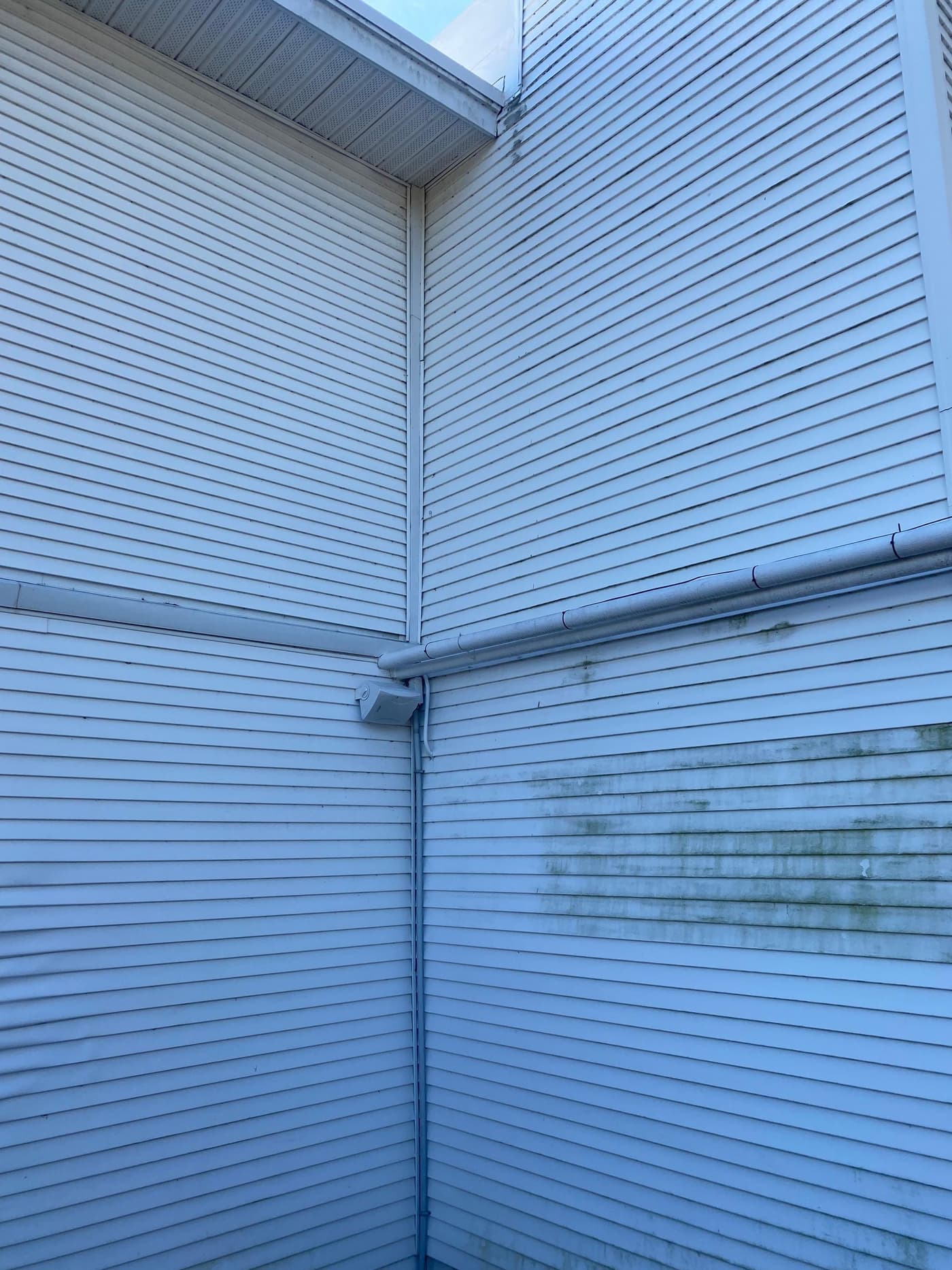 Vinyl siding with green mold growth and oxidation buildup