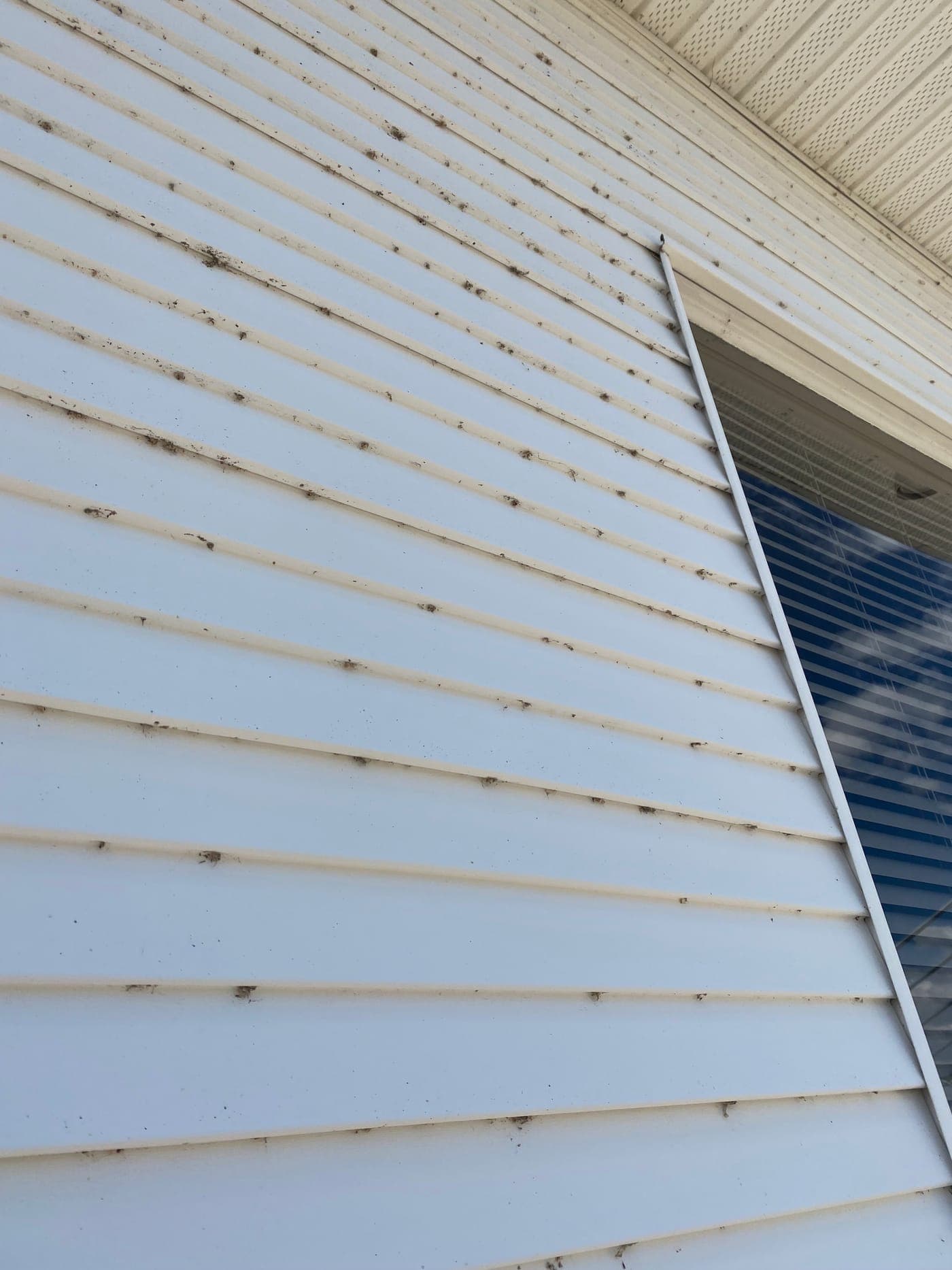 Close-up of vinyl siding with dark spots and oxidation buildup